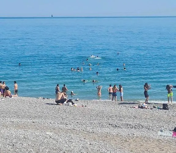 Le Miami - *