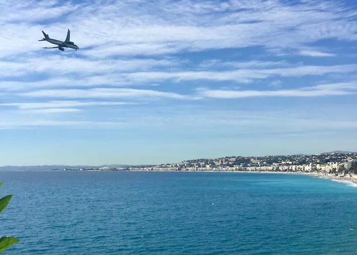 Le Miami Nice